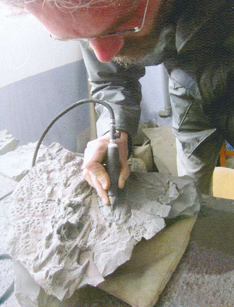 Thumbnail - Fossilien Präparieren - Schritt Für Schritt. Michael Maisch