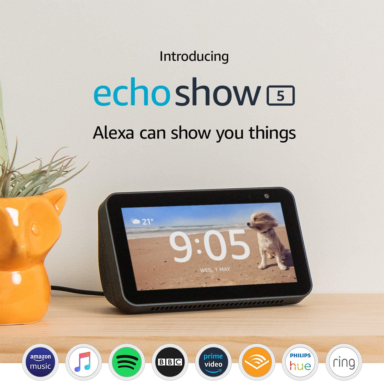 is alexa show a smart hub