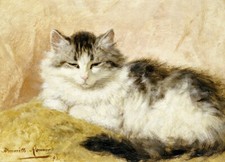 Dream-art dipinto ad olio Henriette+Ronner+Knip-A+Gatto bellissimo animale fatto a mano arte