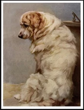 PYRENEAN MOUNTAIN DOG LOVELY VINTAGE STYLE ART PRINT POSTER