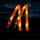 Foto 8 di 17