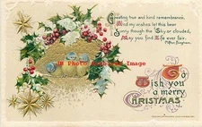 Christmas, Winsch 1911 No WIN05-1, Yellow & Blue Finch, Holly & Berries