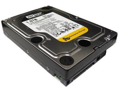 Western Digital 1 TB RE3 SATA 3 Gb/s 7200 RPM 32 MB OEM Hard Drive - WD1002FBYS