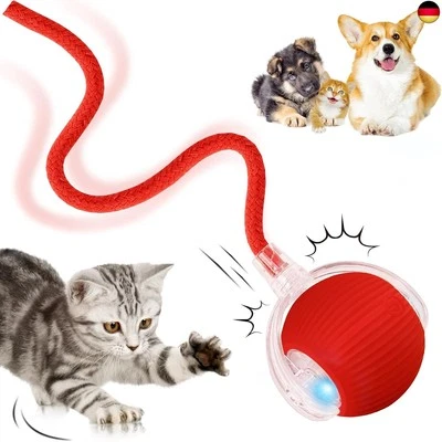 MARKE DAMIGHT Interaktives Katzenspielzeug, Katzenball Spielzeug Elektrisch, 360° Rolling