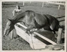 1945 Foto Stampa Anne Krause orologi "Balrolaud" prendendo una barriera, La Grange, IL
