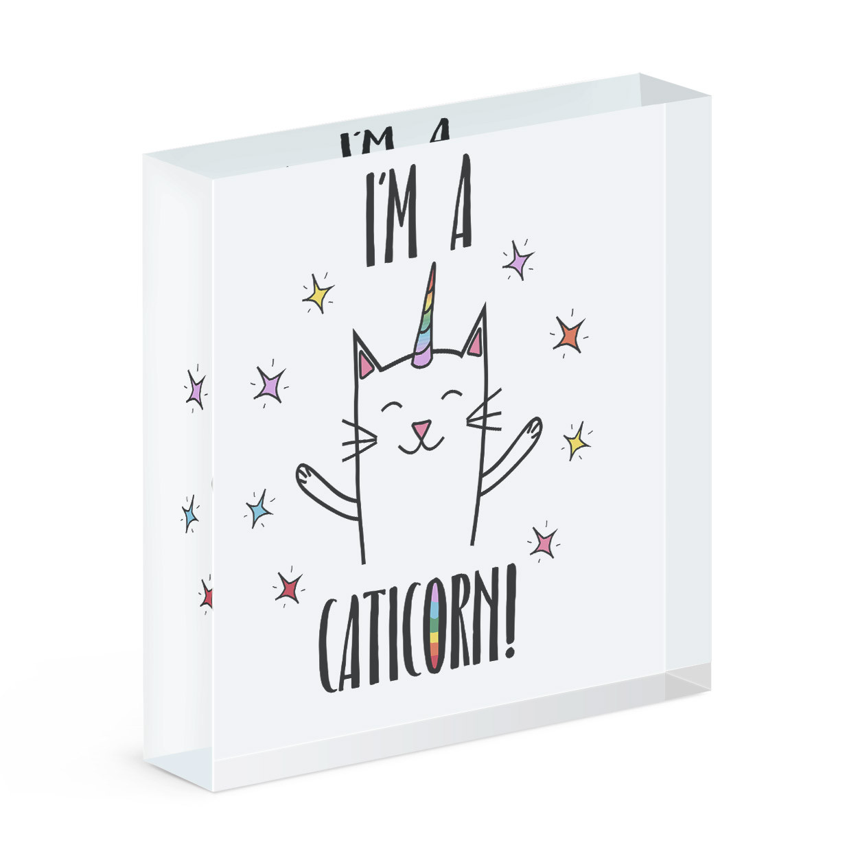Coco The Rainbow Caticorn Acrylic Photo Block Frame Cat Unicorn Funny