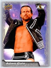 2022 Upper Deck AEW Adam Cole #27