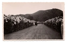 RPPC POSTCARD CIRCA 1920s PEOPLE WALKING DOWN DIRT ROAD SURROUNDED BY FLOWERS