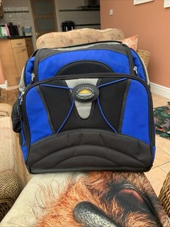 California Innovations Cooler Bag Backpack
