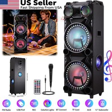 Dual 12" Bluetooth PA Speaker, Portable Karaoke System with Wireless Mic