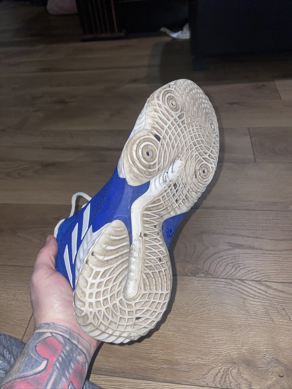 adidas pro bounce high