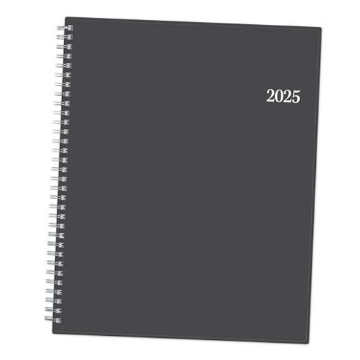 Blue Sky 2025 Weekly and Monthly Appointment Book and Planner, 8.5