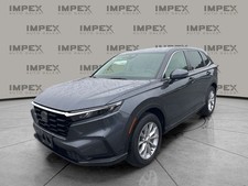 2023 EX