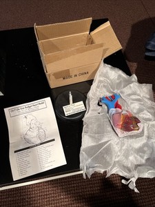 Anatomical Charts Inc CH-7 Life Size Budget Heart Model 1996 Nee! 2 Parts Manual