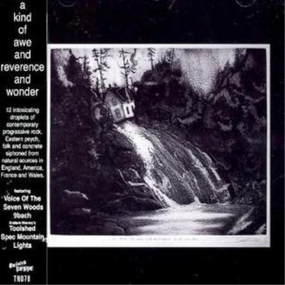 Various Artists A Kind of Awe and Reverence (CD) Album (UK IMPORT)