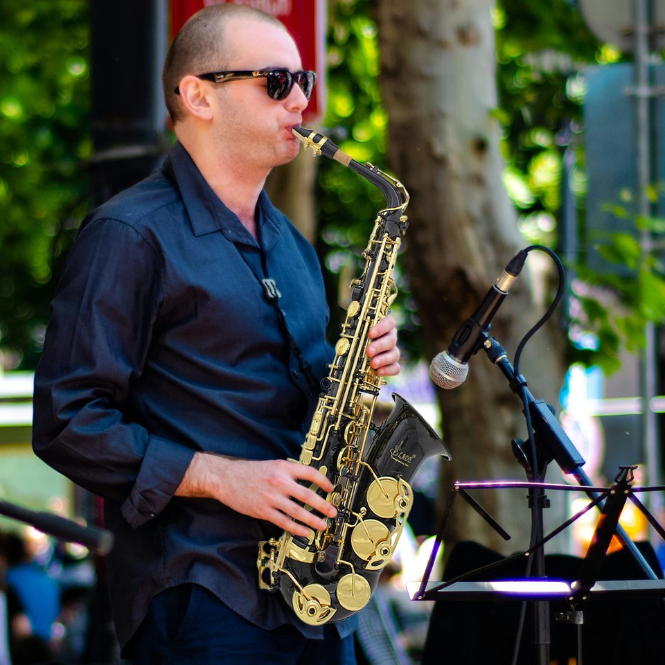 Professional Band Eb Alto Sax Saxophone Paint Gold w/ Case