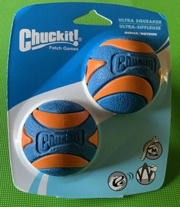 chuckit squeaker ball