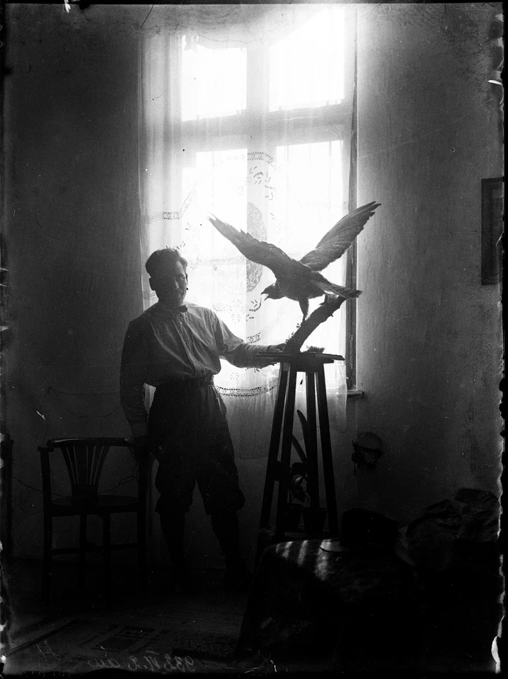 Negativo VIDRIO, hombre elegante con pájaro extraño, luz inusual, años 20 Foto 2 de 4