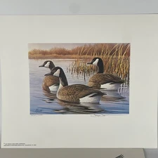 Pennsylvania Waterfowl Management Stamp Print Canadian Geese 1984 #2235