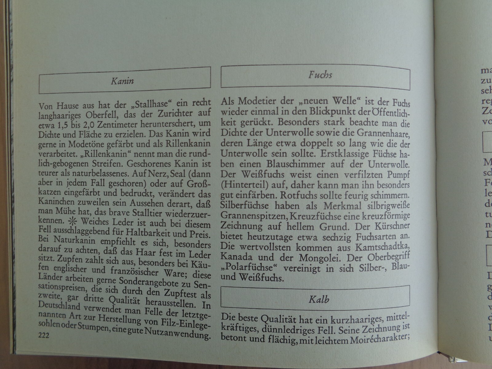 Bild 12 von 12
