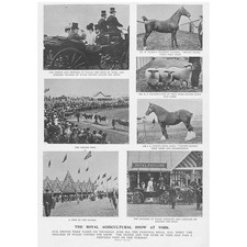 The Royal Agricultural Show at York - Antique Print 1900
