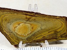 Old Stock Owyhee Craigs Gulch Jasper Slab, Lot#474