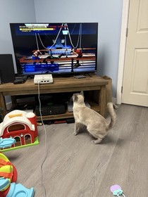 Dynamite Cop (Sega Dreamcast, 1999) No Manual