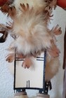 Bild 13 von 16