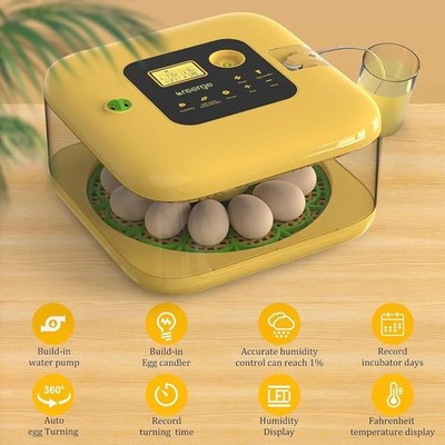 Lreerge Smart Incubator 12 Egg Hatching FYY-12 Automatic Turning Moisture Used