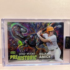 2024 Wild Card Billy Amick Pre Historic 12/15