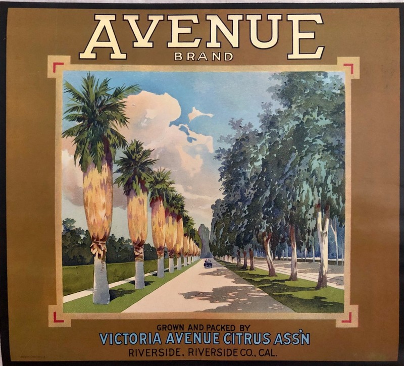 Riverside Magnolia Avenue Orange Citrus Fruit Crate Label Vintage Art Print