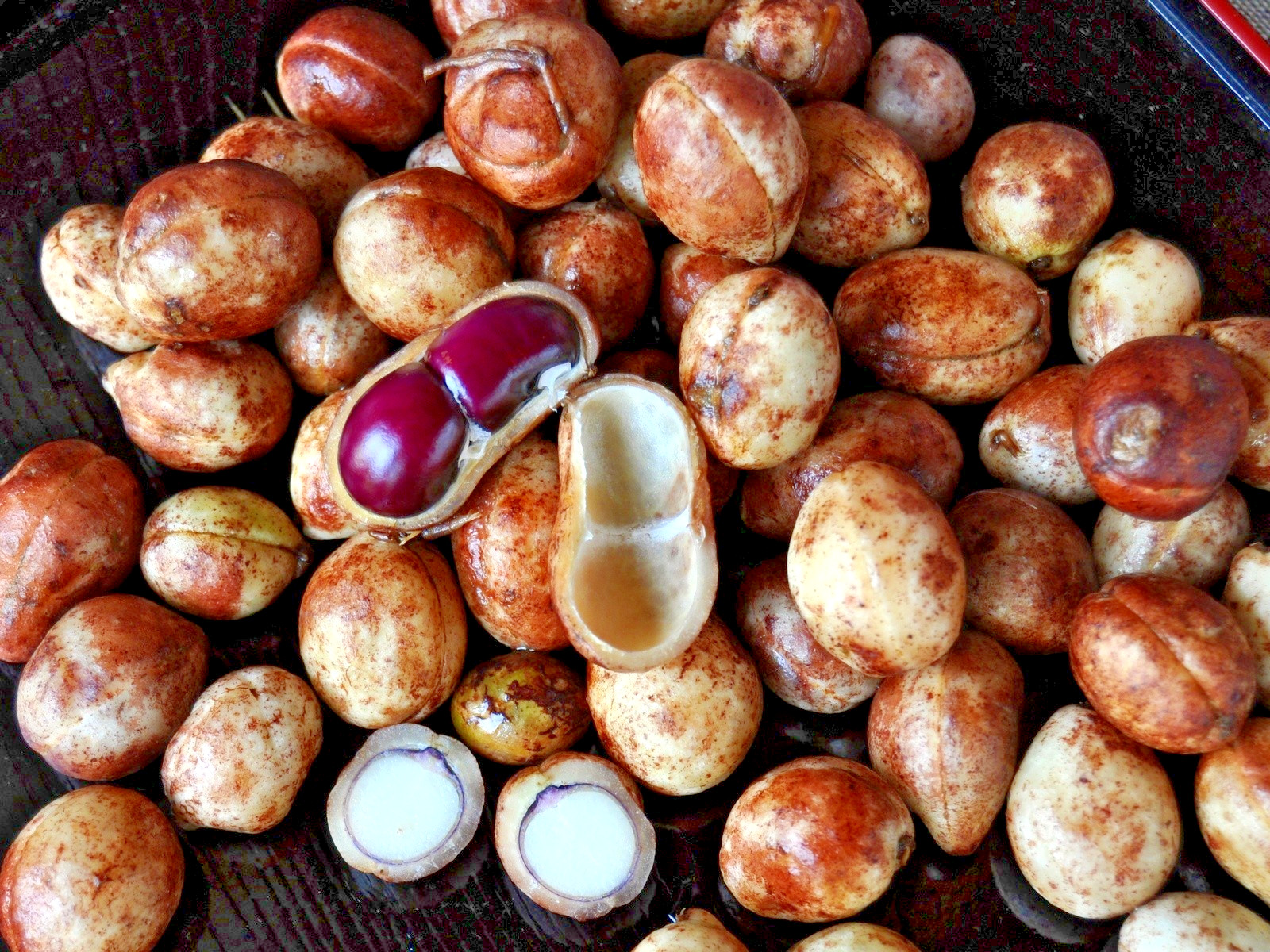 1.000+ Bambara Groundnut Seedss (Vigna subterranea) For Planting