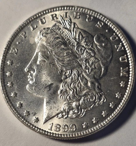 1899-P Morgan Silver Dollar $1 Key Date Ms GEM BU -Mint State Low Mintage-