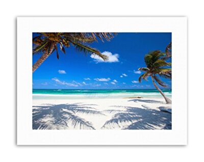 COCONUT PALMS AT DESOLATE BEACH CARIBBEAN PARADISE PHOTO Poster Canvas art