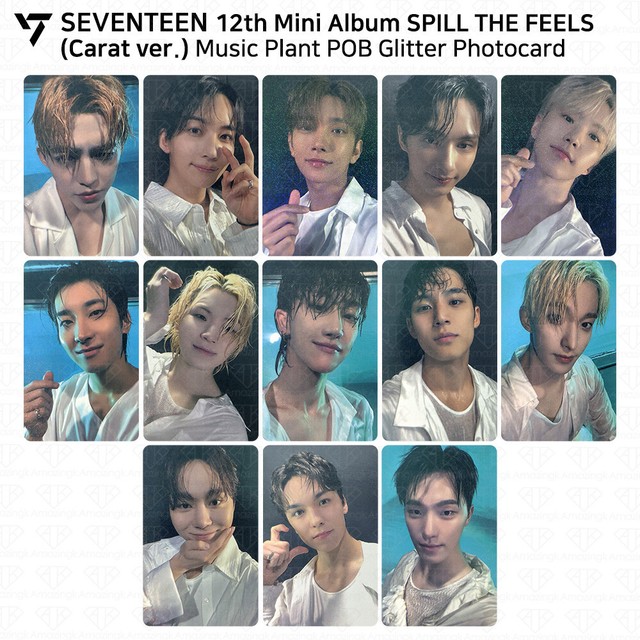 SEVENTEEN 12th Mini Album SPILL THE FEELS Carat Ver POB Photocard Music Plant