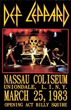 Def Leppard   Concert Poster FREE SHIPPING 12"x18"