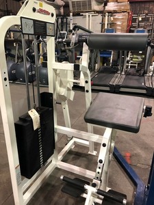 Life Fitness Pro Back Extension Commercial Strength Gym