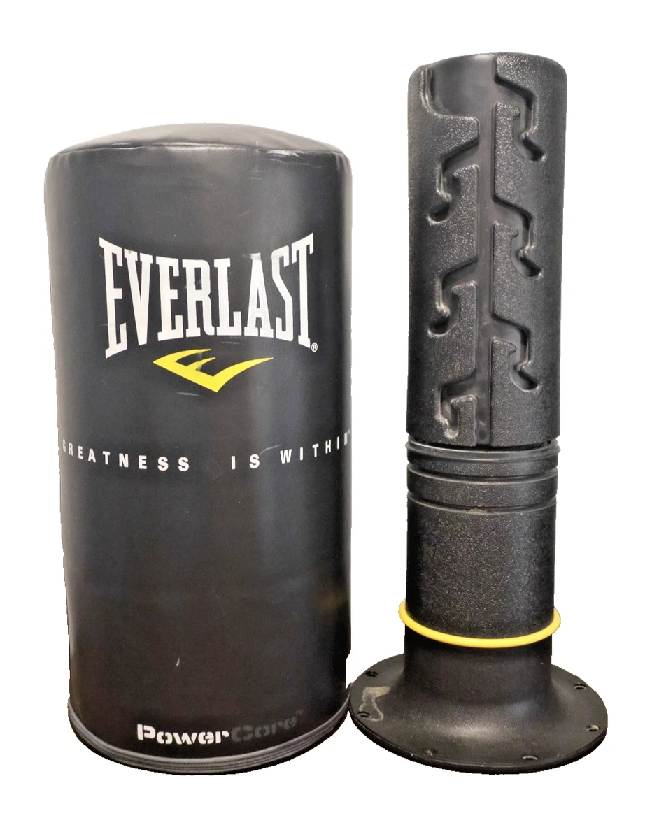 Multi-Color Everlast Boxing & Martial Arts Punching Bags for sale
