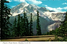 Majestic Mt. Rainier Washington Postcard