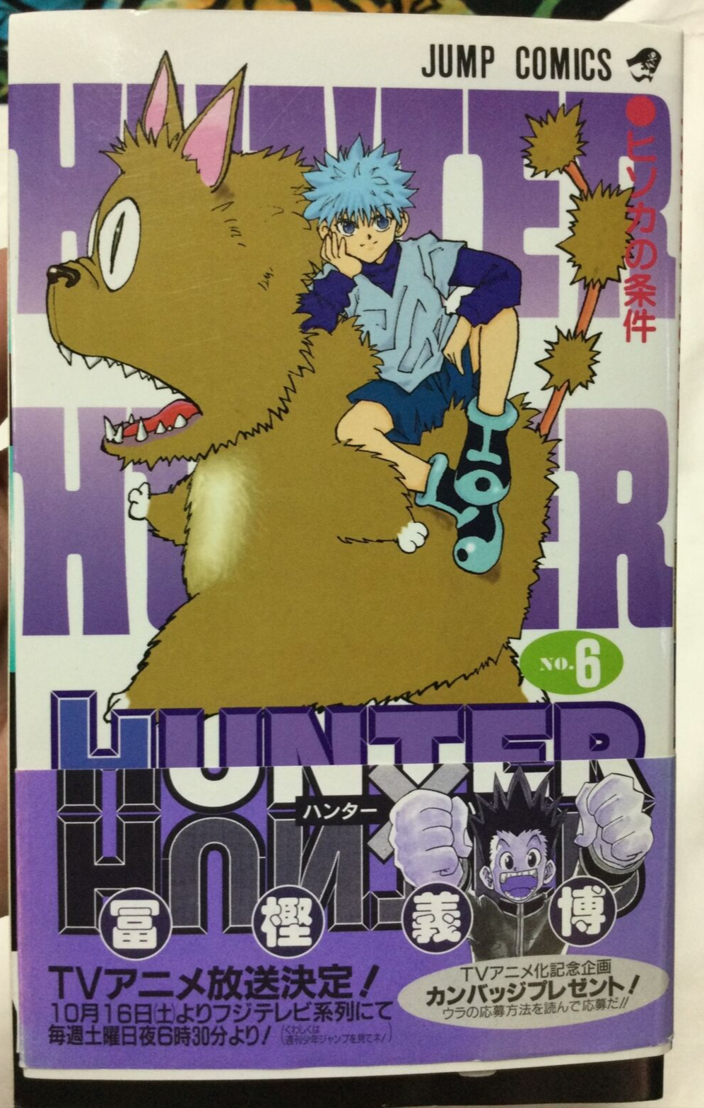 Hunter X Hunter - 363 - Lost in Anime