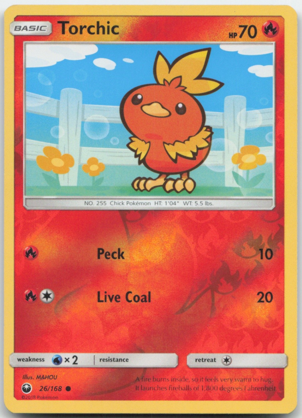 Torchic