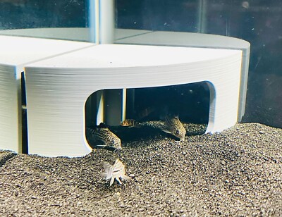 axolotl fish tank accessories HyDren DIY Aquarium Kit Axolotl Tank with Cool Fish