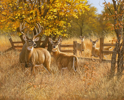 Ladies In Waiting Doe Deer Autumn Foliage Digital Cotton Fabric David 35'' Panel