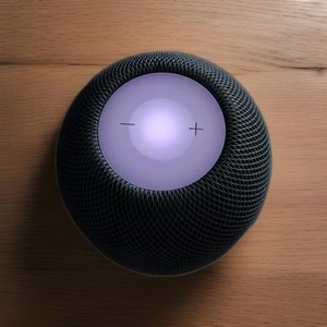Homepod Mini 2 Pack | eBay