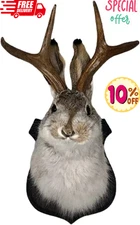 Jackalope Mount, Jackalope Taxidermy, Animal Head Wall Decor, Deer Head Wall Mou