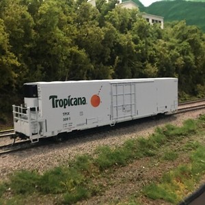 ho blma tropicana trinity 64’ reefer #3091
