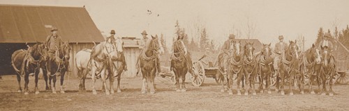 St. Johns OREGON RPPC 1912 LIVERY STABLE? Horses Workers TEAMSTERS? nr Portland - Picture 2 of 5