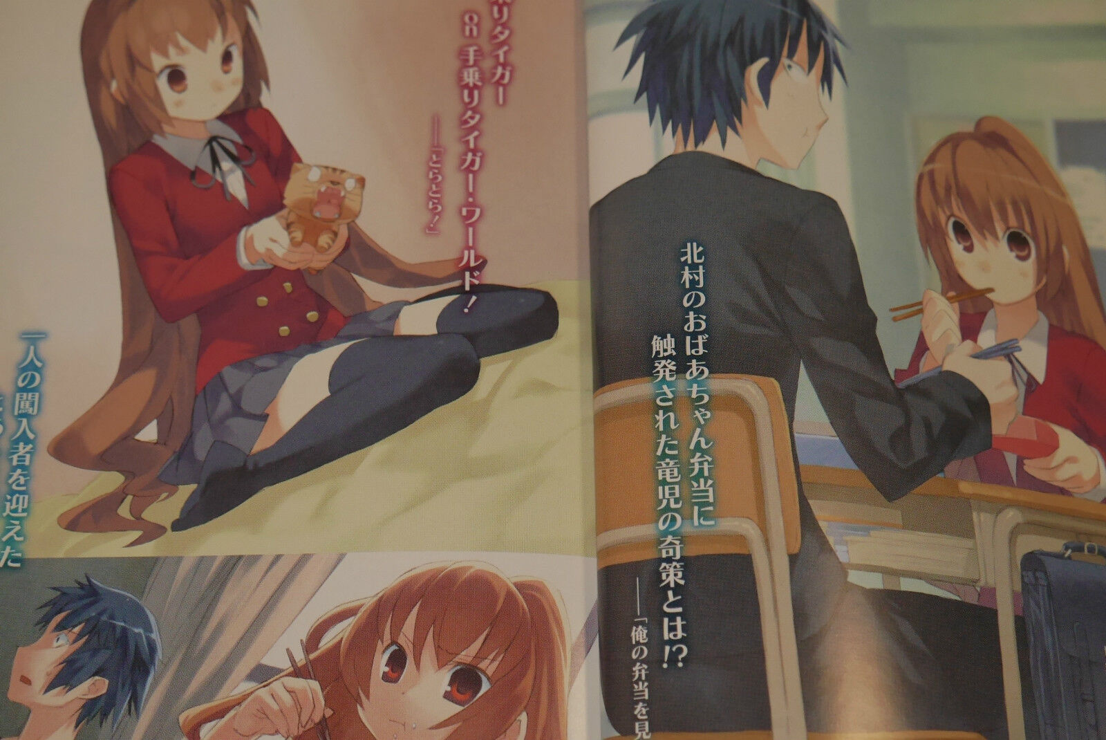 Toradora Spin-off!  Light Novel 