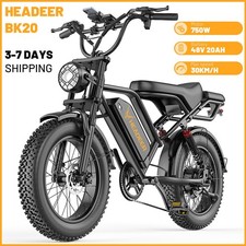 250W Fat Tire E-Bike 48V 20Ah Elektrofahrrad 20'' 50 Miles Reichweite 150kg