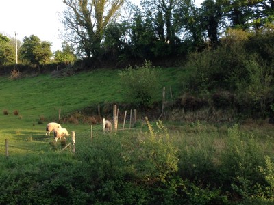 Foto 8x6 Clarcarricknagun, County Donegal Winterhill Ein Schimmer des Abends c2016